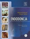 Endodoncja Wersja bez płyty CD 