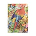 Notes Paperblanks Tropical Garden Midi linia  -   