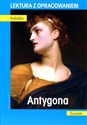 Antygona. Lektura z opracowaniem Polish Books Canada