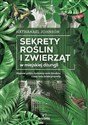 Sekrety roślin i zwierząt w miejskiej dżungli Majestat gołębi, dyskretny urok ślimaków i inne cuda świata przyrody Polish Books Canada
