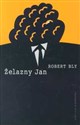 Żelazny Jan - Robert Bly 