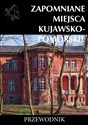 Zapomniane miejsca kujawsko-pomorskie Przewodnik - Tomasz Stochmal