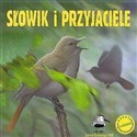 Słowik i przyjaciele CD bookstore