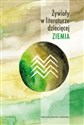 Żywioły w literaturze dziecięcej Ziemia 