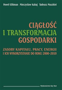 Ciągłość i transformacja gospodarki Zasoby kapitału, pracy, energii i ich wykorzystanie do roku 2000–2010 polish books in canada