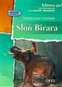 Słoń Birara  