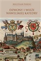 Dzwony i wieże wawelskiej Katedry Polish bookstore