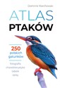 Atlas ptaków 