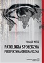 Patologia społeczna Perspektywa geograficzna  