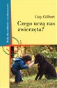 Czego uczą nas zwierzęta - Guy Gilbert Polish bookstore