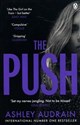 The Push chicago polish bookstore