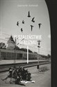W szaleństwie realizmu books in polish