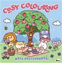 Cody colouring MAŁE PRZYJEMNOŚCI  pl online bookstore