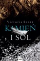 Kamień i sól - Victoria Scott bookstore