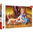 Puzzle W centrum uwagi 500  - 