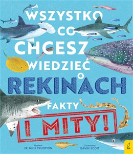 Wszystko co chcesz wiedzieć o rekinach Fakty i mity  