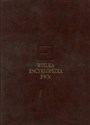 Wielka encyklopedia PWN Tom 1 