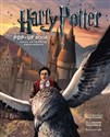 Harry Potter A Pop-Up Book  online polish bookstore