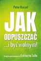 Jak odpuszczać ...i być wolnym!  - Peter Russell