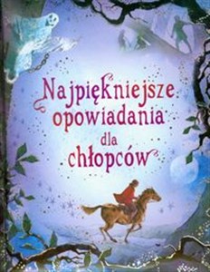 Najpiękniejsze opowiadania dla chłopców polish books in canada