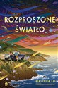 Rozproszone światło - Malinda Lo