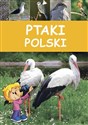 Ptaki Polski bookstore
