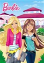 Barbie Fab Life D1049 polish usa