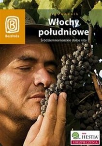 Włochy południowe Przewodnik Śródziemnomorskie dolce vita chicago polish bookstore