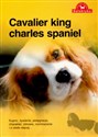 Cavalier King charles spaniel polish books in canada