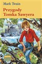 Przygody Tomka Sawyera online polish bookstore