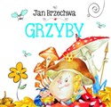 Grzyby 