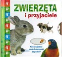 Zwierzęta i przyjaciele Kto znajdzie moje koleżanki papużki?  