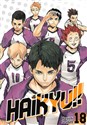 Haikyu!! Tom 18  