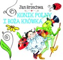 Konik polny i boża krówka to buy in USA