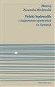 Polski hydraulik i najnowsze opowieści ze Szwecji books in polish