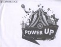 Power Up 4 Posters  books in polish