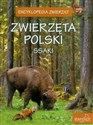 Zwierzęta Polski Ssaki 