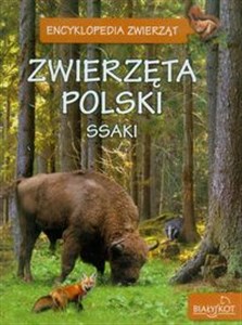 Zwierzęta Polski Ssaki 