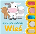 Wieś. Sensoryka maluszka  pl online bookstore