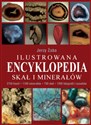Ilustrowana encyklopedia skał i minerałów Polish bookstore