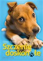 Szczenię doskonałe - Bailey Gwen  