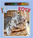 Koty. Książeczki z puzzlami, kolorowankami i kolorową kredką - Opracowanie zbiorowe