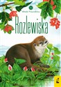 Młodzi przyrodnicy Tom 13 Rozlewiska polish books in canada