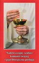 Nadzwyczajny szafarz komunii świętej i jego liturgiczna posługa online polish bookstore