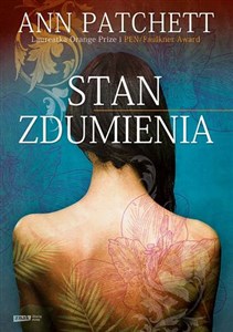 Stan zdumienia  