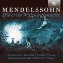 Mendelssohn: Die erste Walpurgisnacht  books in polish