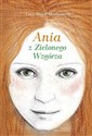 Ania z Zielonego Wzgórza polish usa