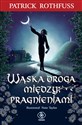 Wąska droga między pragnieniami  - Partick Rothfuss