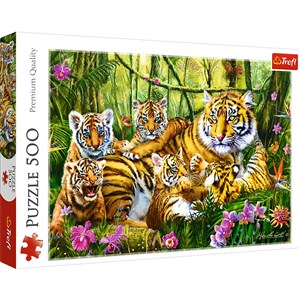 Puzzle Rodzina tygrysów 500 polish usa