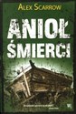 Anioł śmierci polish books in canada